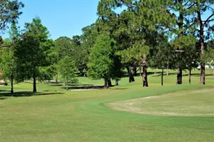 3400 Rugby Ct, Palm Harbor, FL 34684 - Photo 45