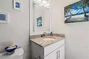 31865 Tortuga Shore Loop, Wesley Chapel, FL 33545 - Photo 73
