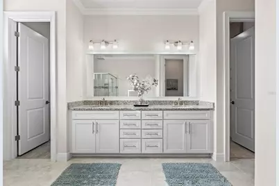 31865 Tortuga Shore Loop, Wesley Chapel, FL 33545 - Photo 47