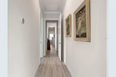 31865 Tortuga Shore Loop, Wesley Chapel, FL 33545 - Photo 49