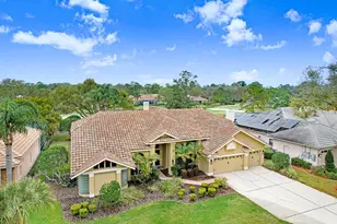 35 Kelleys Trail, Oldsmar, FL 34677 - Photo 3