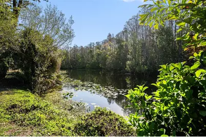 3522 Dellefield Street, New Port Richey, FL 34655 - Photo 13