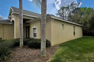 6041 Catlin Dr, Tampa, FL 33647 - Photo 3