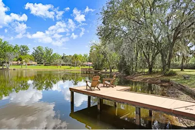 36805 Waterfall Drive, Dade City, FL 33525 - Photo 3