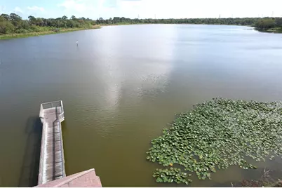 3832 Pebble Court, Palm Harbor, FL 34684 - Photo 27