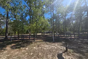 10630 NE 80th St, Bronson, FL 32621 - Photo 19