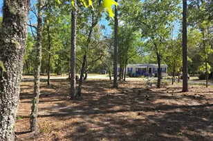 10630 NE 80th St, Bronson, FL 32621 - Photo 3