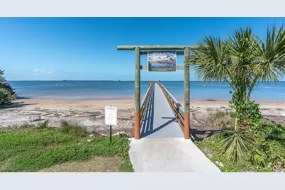 137 Pennsylvania Avenue, Palm Harbor, FL 34683 - Photo 41