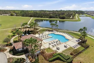 13530 Palmera Vista Dr, Riverview, FL 33579 - Photo 45