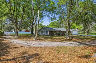 19706 Angel Ln, Odessa, FL 33556 - Photo 15