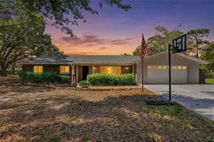 19706 Angel Ln, Odessa, FL 33556 - Photo 1