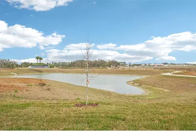 31477 Spanish Mission Road, San Antonio, FL 33576 - Photo 43