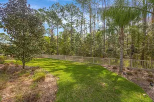 29256 Picana Ln, Wesley Chapel, FL 33543 - Photo 71