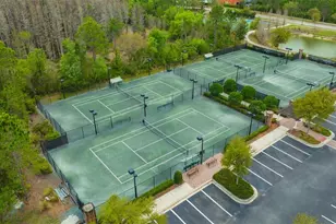 29256 Picana Ln, Wesley Chapel, FL 33543 - Photo 77