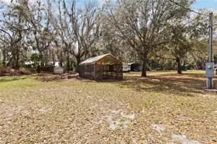 2903 Pritcher Manor Ct, Lithia, FL 33547 - Photo 27