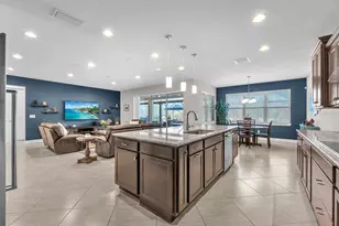 10407 Tree Skylark Pl, Riverview, FL 33569 - Photo 15