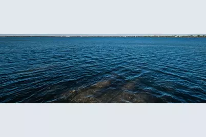 504 Belmont Street, Safety Harbor, FL 34695 - Photo 25