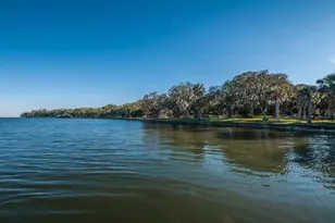 504 Belmont St, Safety Harbor, FL 34695 - Photo 59