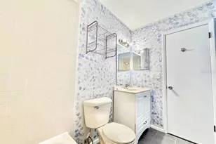 5124 Gainsville Dr, Temple Terrace, FL 33617 - Photo 21