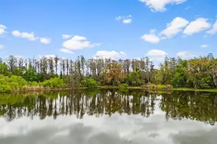 18117 Boy Scout Rd, Odessa, FL 33556 - Photo 13