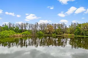 18117 Boy Scout Rd, Odessa, FL 33556 - Photo 21