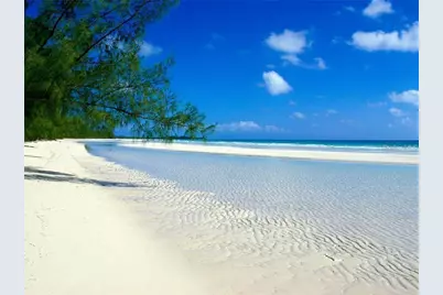 303 Woodlake Wynde, Oldsmar, FL 34677 - Photo 21