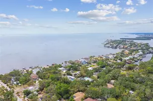 160 Sage Cir, Crystal Beach, FL 34681 - Photo 89