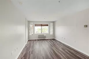 406 S Cedar Ave, Tampa, FL 33606 - Photo 5