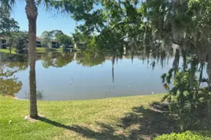 212 Cypress Ln, Oldsmar, FL 34677 - Photo 5