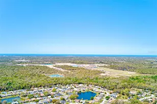 9743 Hermosillo Dr, New Port Richey, FL 34655 - Photo 53