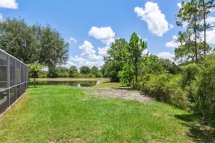 10222 Arbor Side Dr, Tampa, FL 33647 - Photo 47