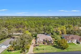 10288 Ridge Top Loop, Weeki Wachee, FL 34613 - Photo 53