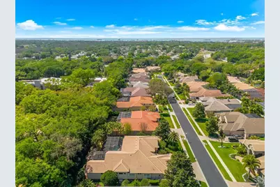 1560 Canopy Oaks Boulevard, Palm Harbor, FL 34683 - Photo 67