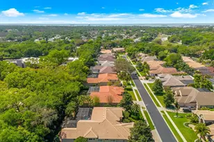 1560 Canopy Oaks Blvd, Palm Harbor, FL 34683 - Photo 67