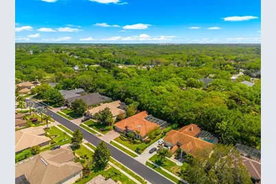 1560 Canopy Oaks Boulevard, Palm Harbor, FL 34683 - Photo 65