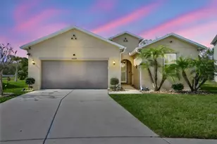 10567 Laguna Plains Dr, Riverview, FL 33578 - Photo 1