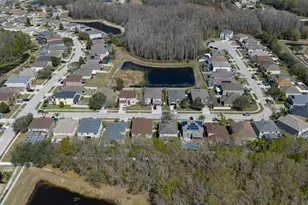 17902 Cunningham Ct, Land O Lakes, FL 34638 - Photo 55