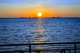 4717 Dolphin Cay Ln S, Saint Petersburg, FL 33711 - Photo 75