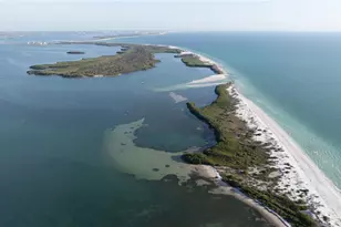 8 Glencoe Pl, Dunedin, FL 34698 - Photo 43