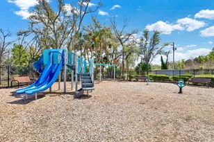 7217 Blue Beech Dr, Riverview, FL 33578 - Photo 53