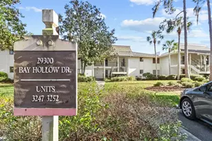 29300 Bay Hollow Dr, Wesley Chapel, FL 33543 - Photo 3