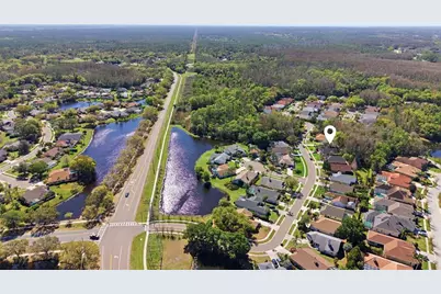 812 Crestridge Drive, Tarpon Springs, FL 34688 - Photo 31