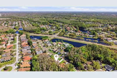 812 Crestridge Drive, Tarpon Springs, FL 34688 - Photo 29