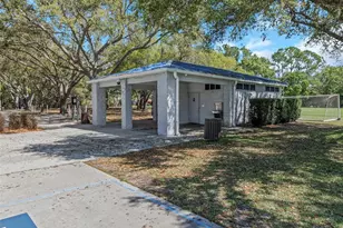 3687 Janus Way, Palm Harbor, FL 34685 - Photo 61