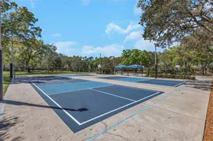 3687 Janus Way, Palm Harbor, FL 34685 - Photo 59