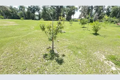 4925 N US Highway 441, Ocala, FL 34475 - Photo 9