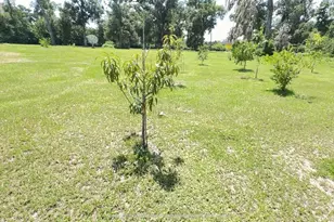 4925 N US Hwy 441, Ocala, FL 34475 - Photo 9
