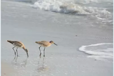 19530 Gulf Boulevard #2B, Indian Shores, FL 33785 - Photo 47