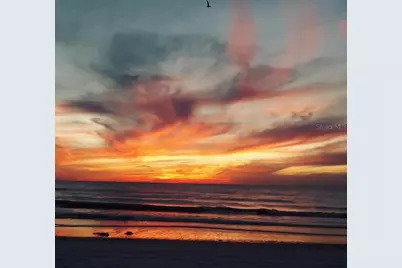 200 N Betty Lane #5F, Clearwater, FL 33755 - Photo 19