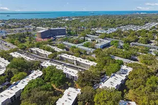 865 Virginia Ct, Dunedin, FL 34698 - Photo 39